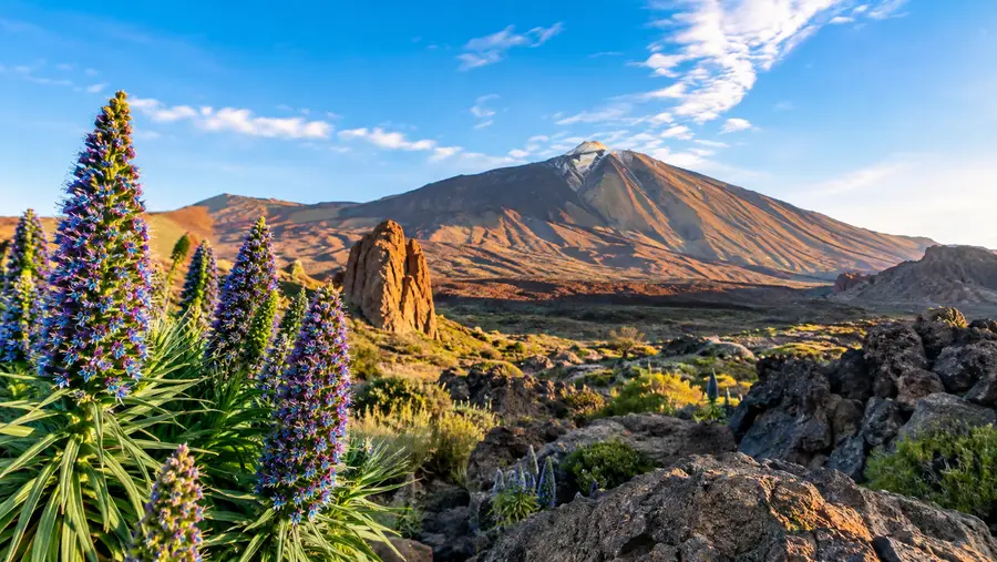 Where to Stay in Teide National Park: Hotels, Parador, and Camping